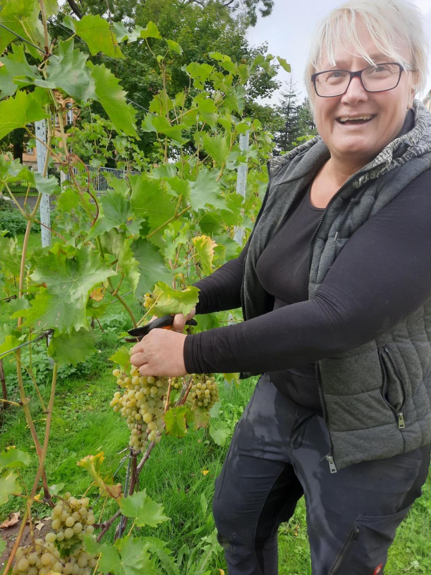 Ferienwohnung Weingut Lahmer August Kretzschau Luaran gambar