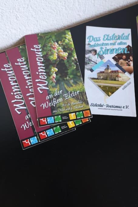 Ferienwohnung Weingut Lahmer August Kretzschau Luaran gambar
